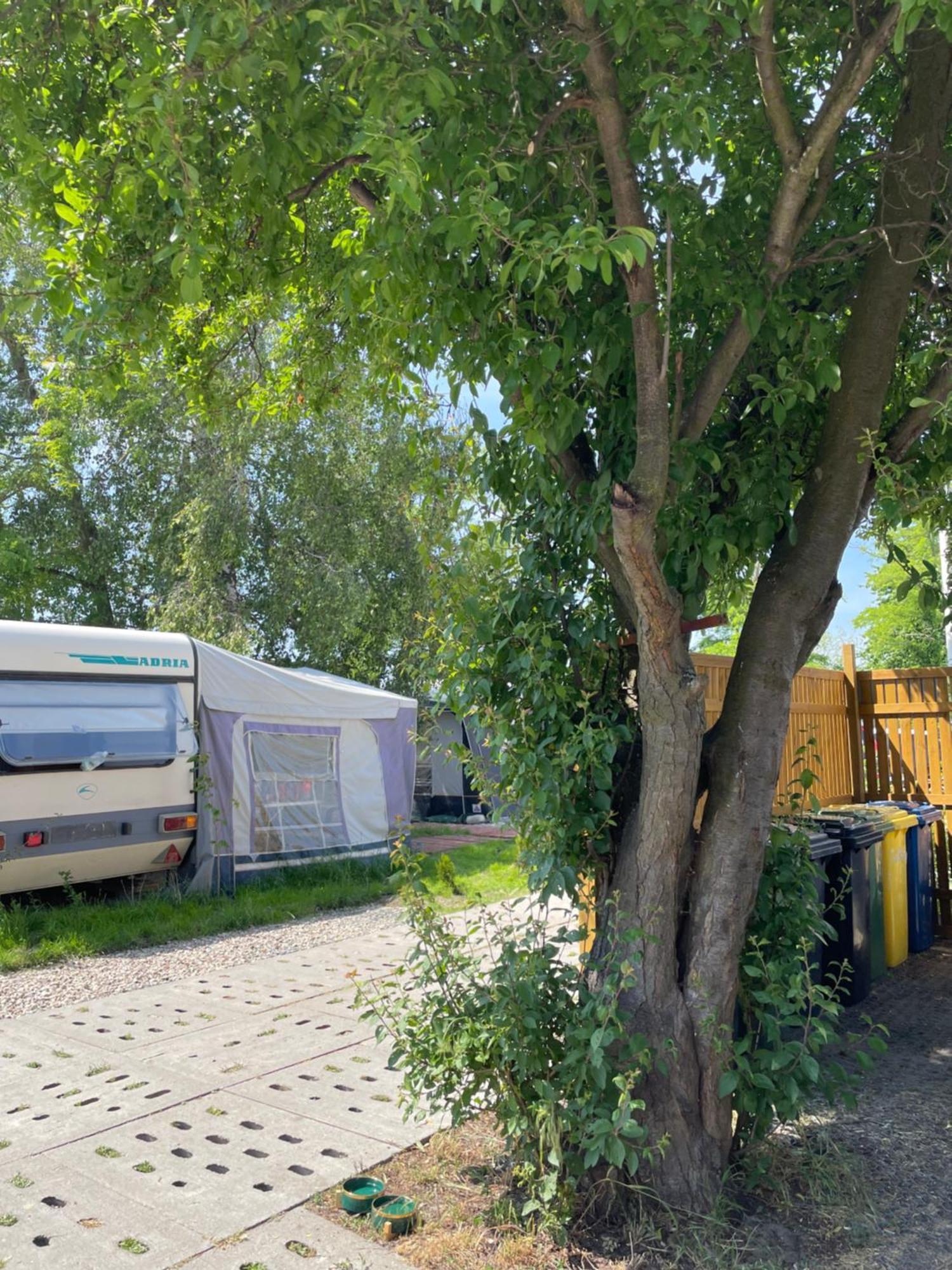 Kemp Sonata Camp