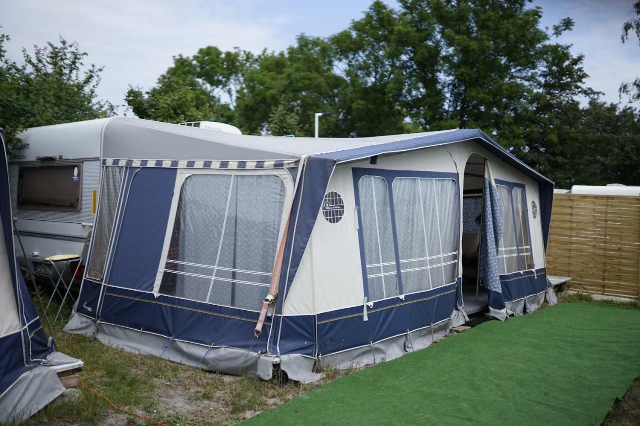 Sonata Camp Kemp *