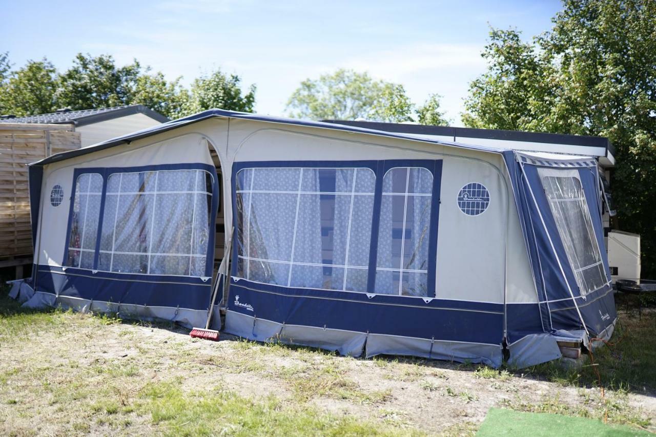 Sonata Camp