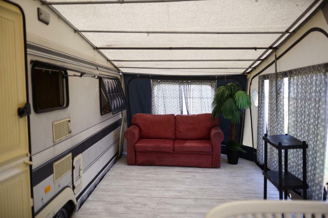 Sonata Camp
